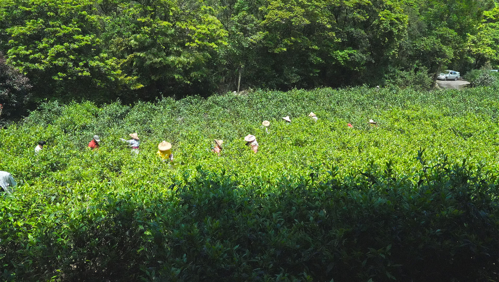 image 201920-800-2