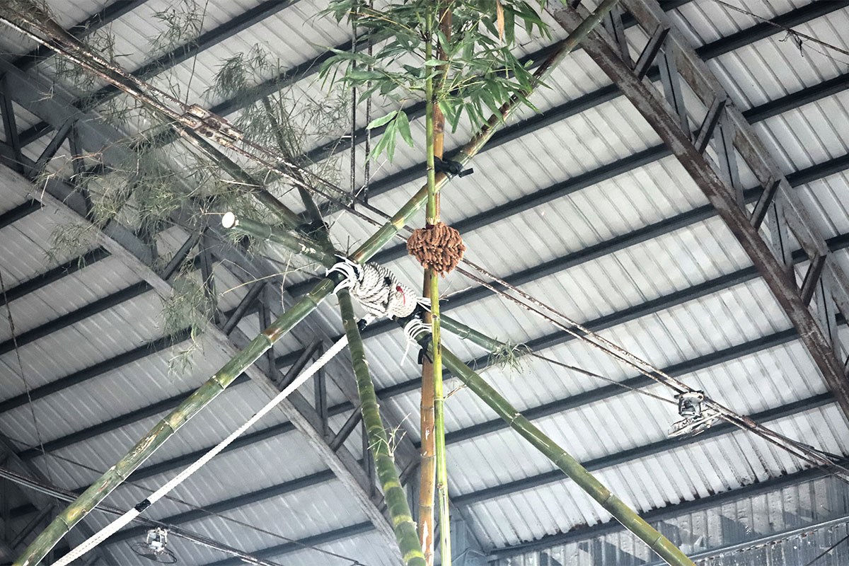 通過爬竿儀式,男孩們向祖先們傳遞了一個訊息:<br>自己已經長大,能夠擔負起守護部落的責任. 1200-800-2